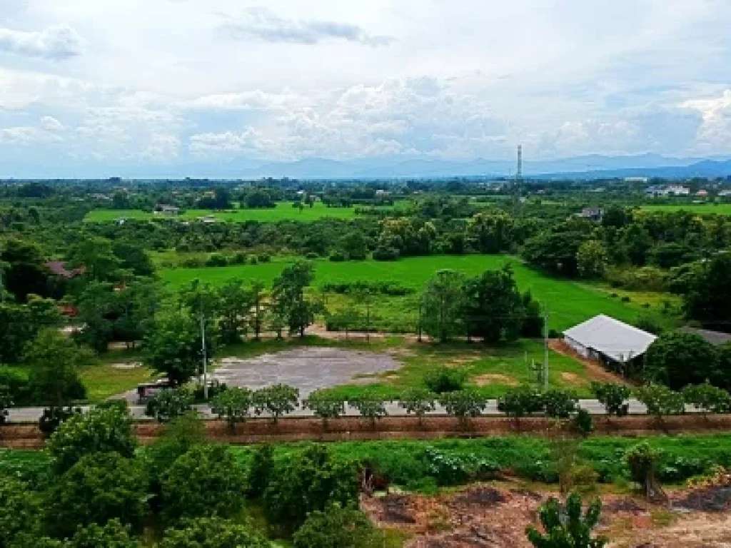 ขายที่ดิน ขุนคง อำเภอหางดง จังหวัดเชียงใหม่