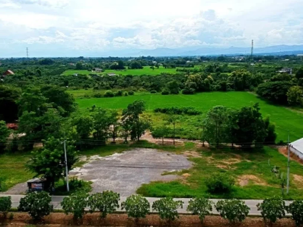 ขายที่ดิน ขุนคง อำเภอหางดง จังหวัดเชียงใหม่