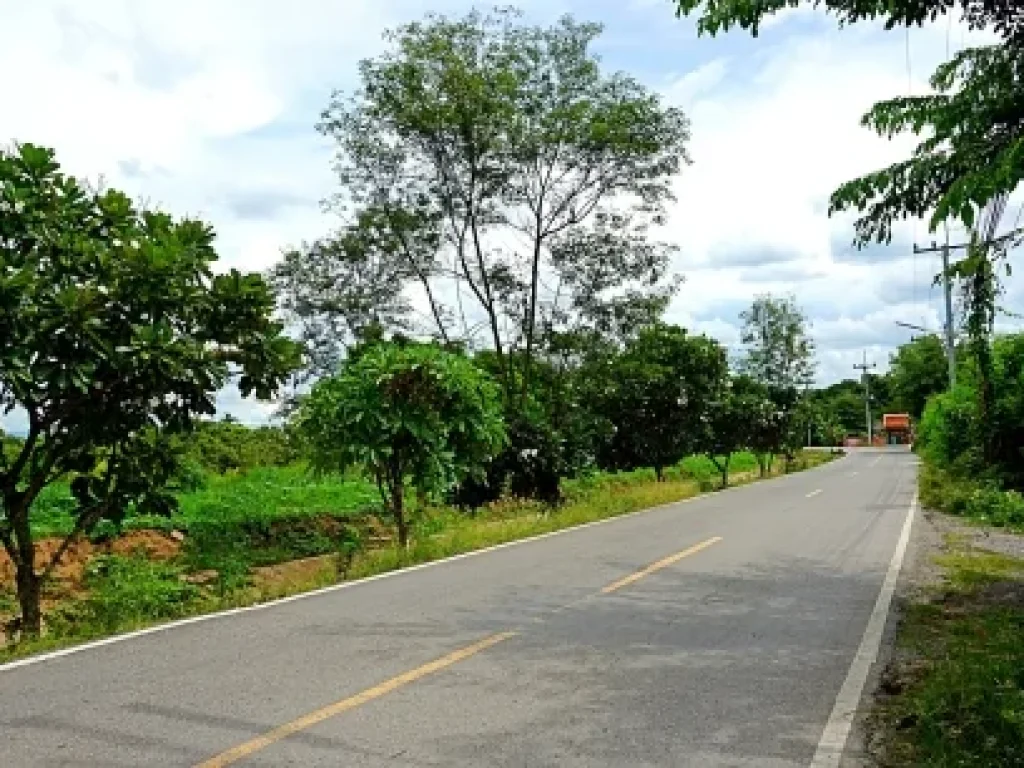 ขายที่ดิน ขุนคง อำเภอหางดง จังหวัดเชียงใหม่