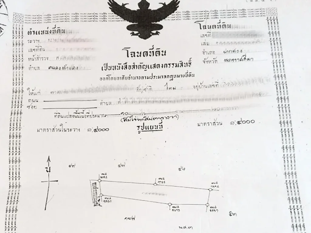 ขายที่ดิน แปลงสวย 10 ไร่ หนองน้ำแดง ปากช่อง จโคราช