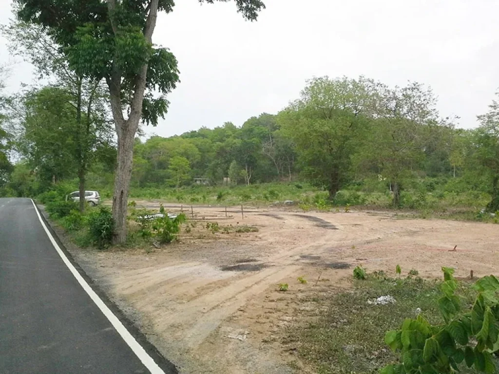 ขายที่ดิน แปลงสวย 3 ไร่ 1 งาน ใกล้ Motorway อเมือง จสระบุรี