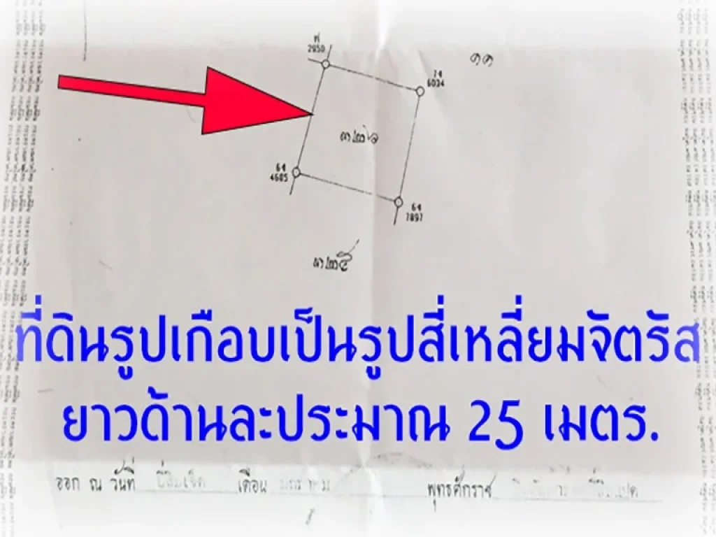 ขายที่ดิน แปลงสวย 175 ตารางวา บรรยากาศธรรมชาติ ใกล้ Motorway สายใหม่ อหนองแค จสระบุรี