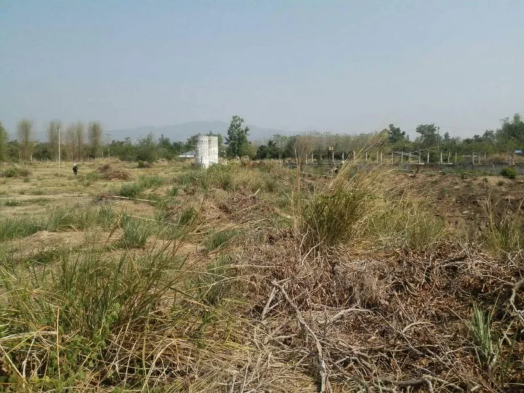 Land for sale near Pha Cho Nation Park