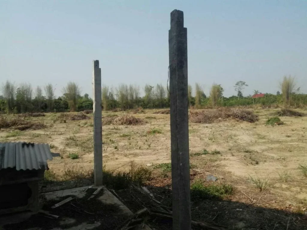 Land for sale near Pha Cho Nation Park