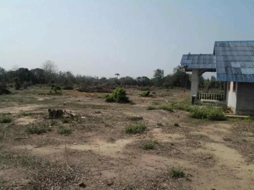 Land for sale near Pha Cho Nation Park