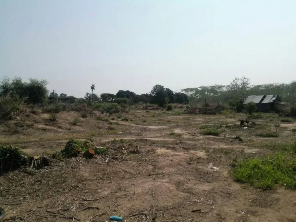 Land for sale near Pha Cho Nation Park