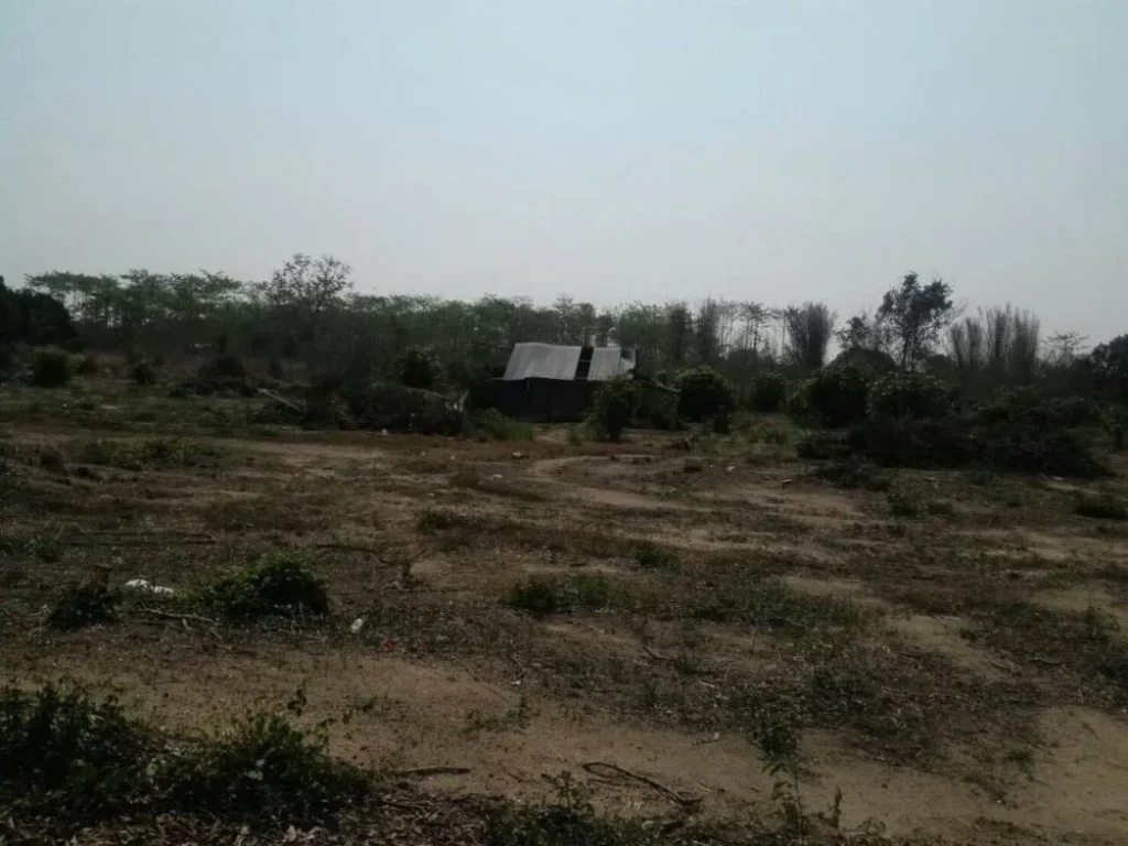 Land for sale near Pha Cho Nation Park