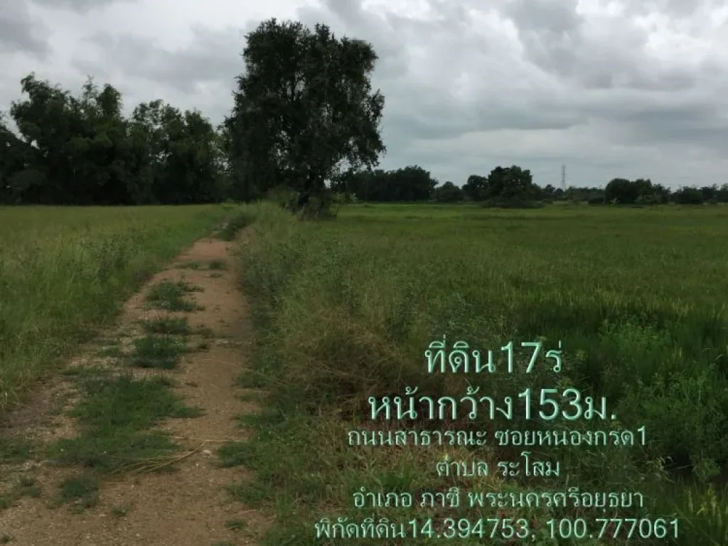 ที่ดิน17ไร่ แบ่งขาย หน้ากว้าง153มเจ้าของขายเอง ติดถนนซอยหนองกรด1 ตระโสม อภาชี จพระนครศรีอยุธยา