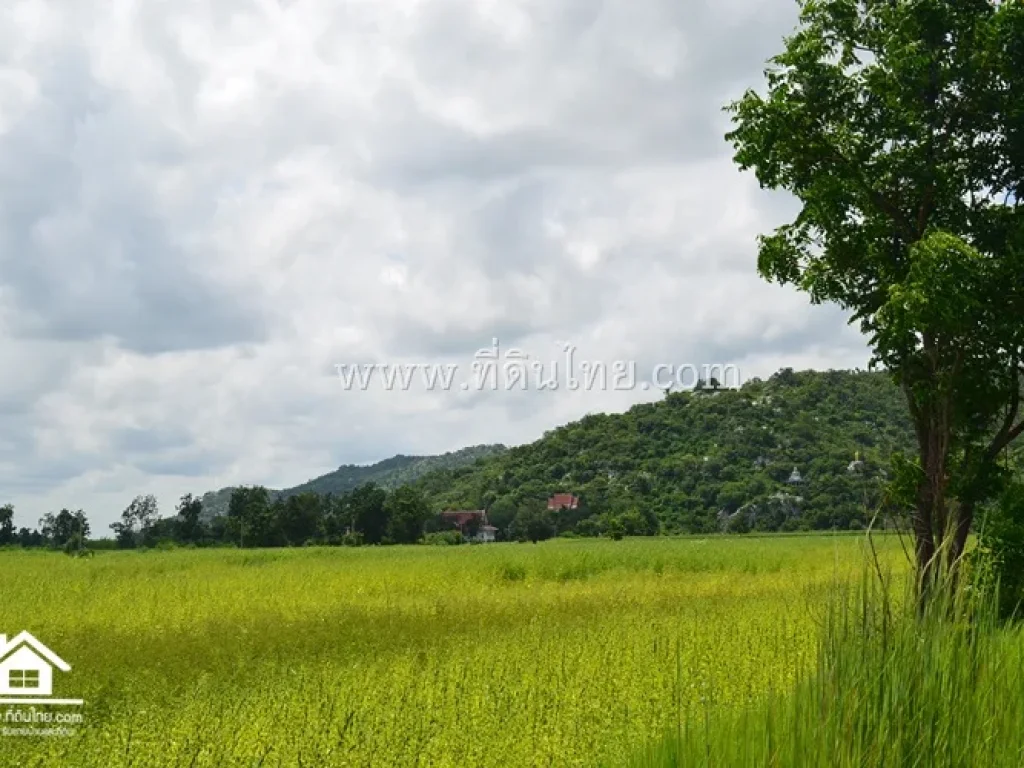 ขายที่ดินลพบุรี 18 ไร่เศษ โฉนด ตดอนดึง อบ้านหมี่ จลพบุรีรหัส 3608