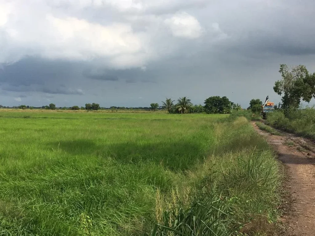 ขายที่ดินติดถนนติดคลองราคาถูก