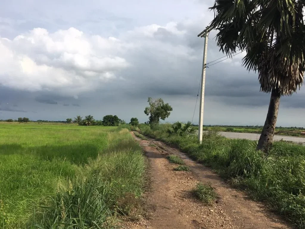 ขายที่ดินติดถนนติดคลองราคาถูก