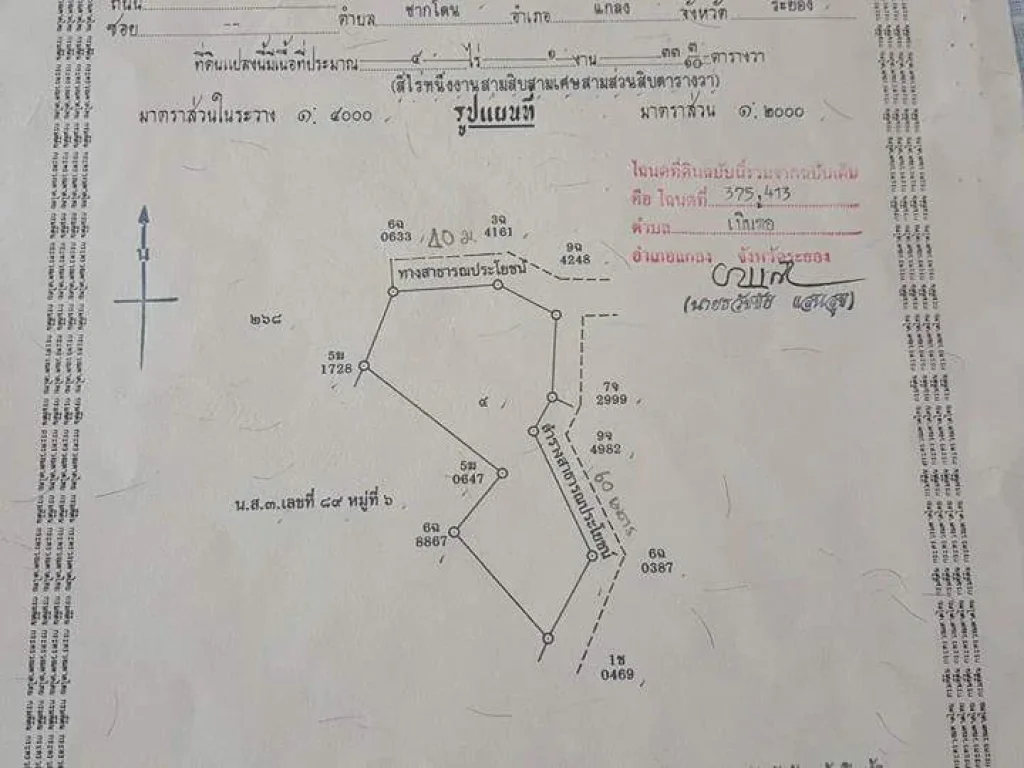 ขายสวนผลไม้ผสม ใกล้วัดจำรุง ส้มตำจำรุง ตกร่ำ อแกลง จระยอง