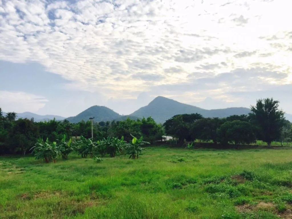 ขอประกาศขายที่ดินสวยหัวหิน จำนวน 1 แปลงใหญ่ ไร่ละ8แสนบาท