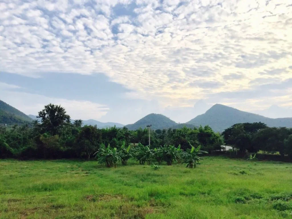 ขอประกาศขายที่ดินสวยหัวหิน จำนวน 1 แปลงใหญ่ ไร่ละ8แสนบาท