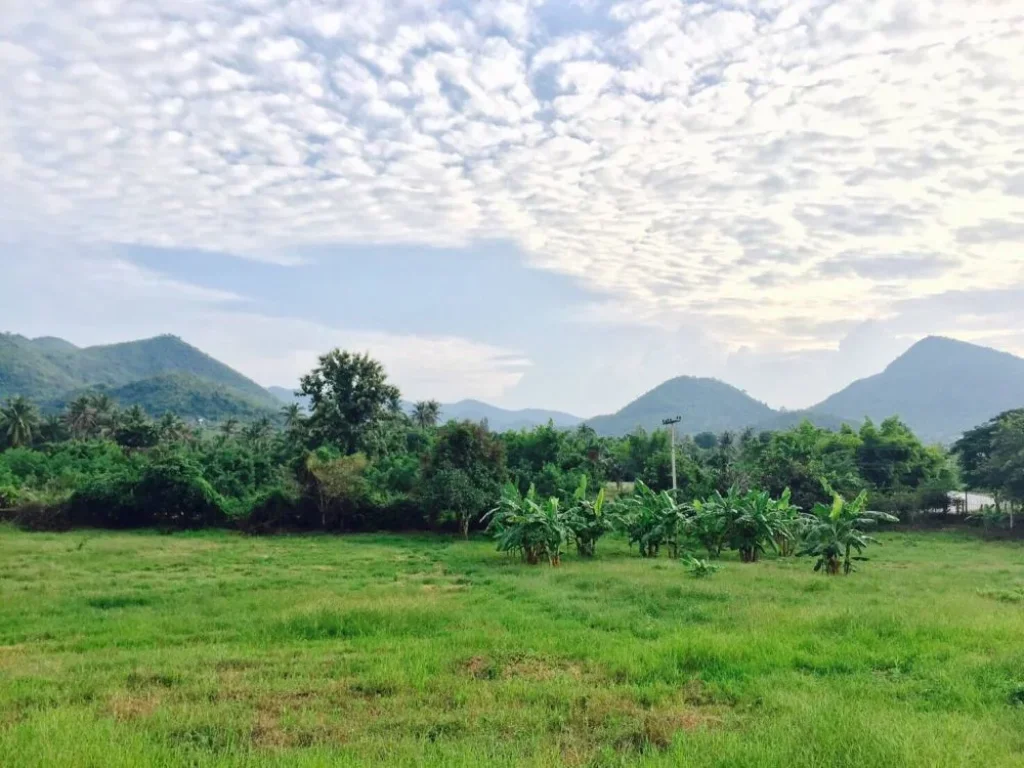 ขอประกาศขายที่ดินสวยหัวหิน จำนวน 1 แปลงใหญ่ ไร่ละ8แสนบาท