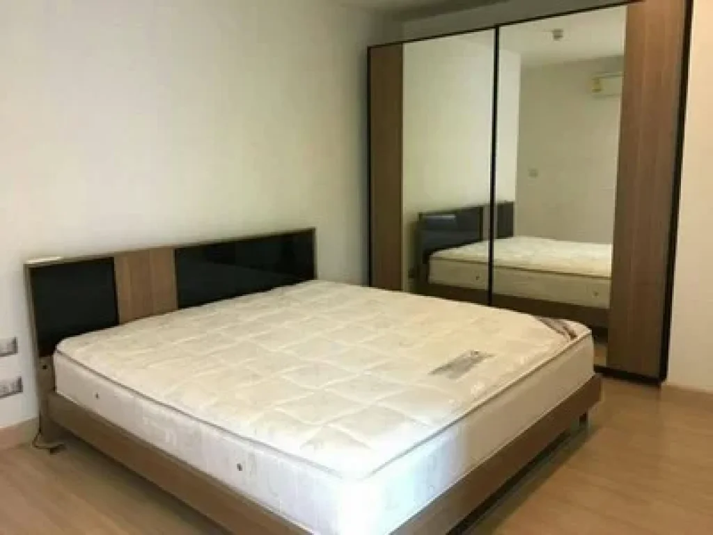 ให้เช่า ทรี คอนโด สุขุมวิท 52 Tree Condo Sukhumvit 52 51 ตรม 1นอน ใกล้ BTS อ่อนนุช พร้อมอยู่