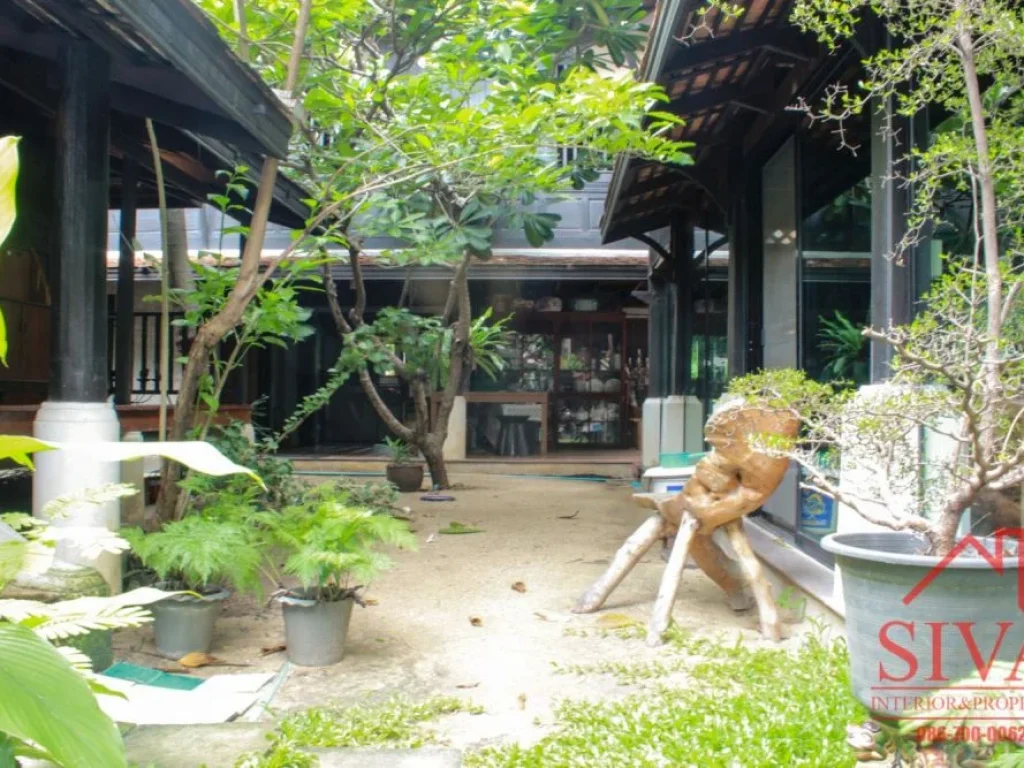 บ้านไม้สักทอง กลางซอยลาดพร้าว 71 Traditional Thai House