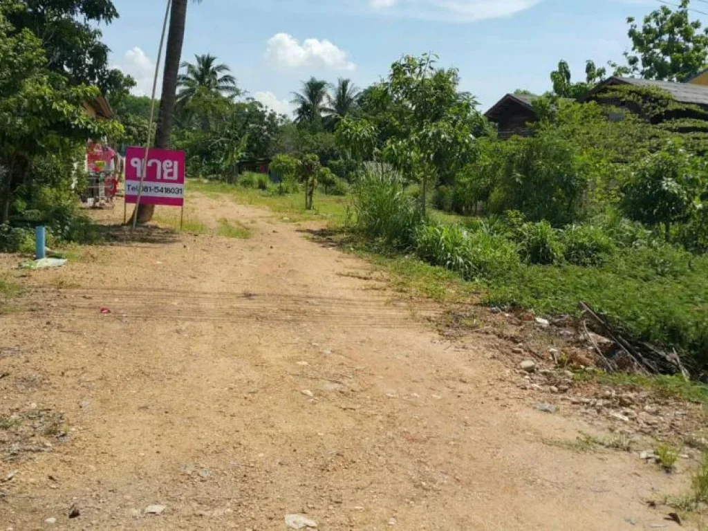 ขายที่ดิน อหาดใหญ่ จสงขลา