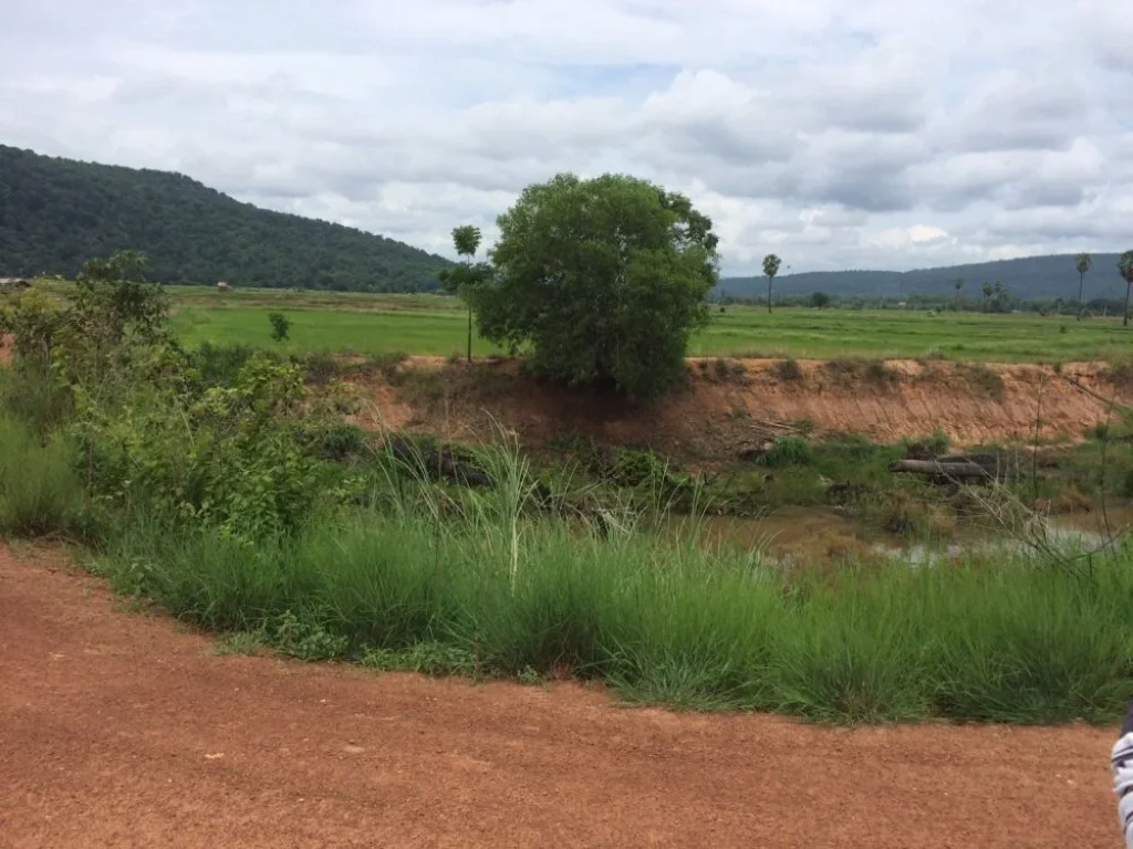 ขายที่ดินเปล่ามีโฉนด ในอำเภอวังทอง จังหวัดพิษณุโลก วิวสวยมาก