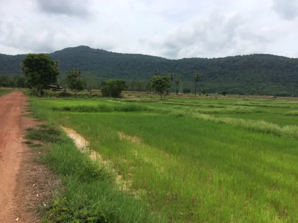 ขายที่ดินเปล่ามีโฉนด ในอำเภอวังทอง จังหวัดพิษณุโลก วิวสวยมาก