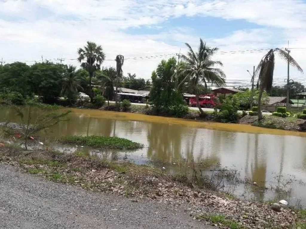 ขายที่ดินเปล่าถนนหนองเสือ-ธัญญะ กม7 90 ไร่ ราคาถูกมาก