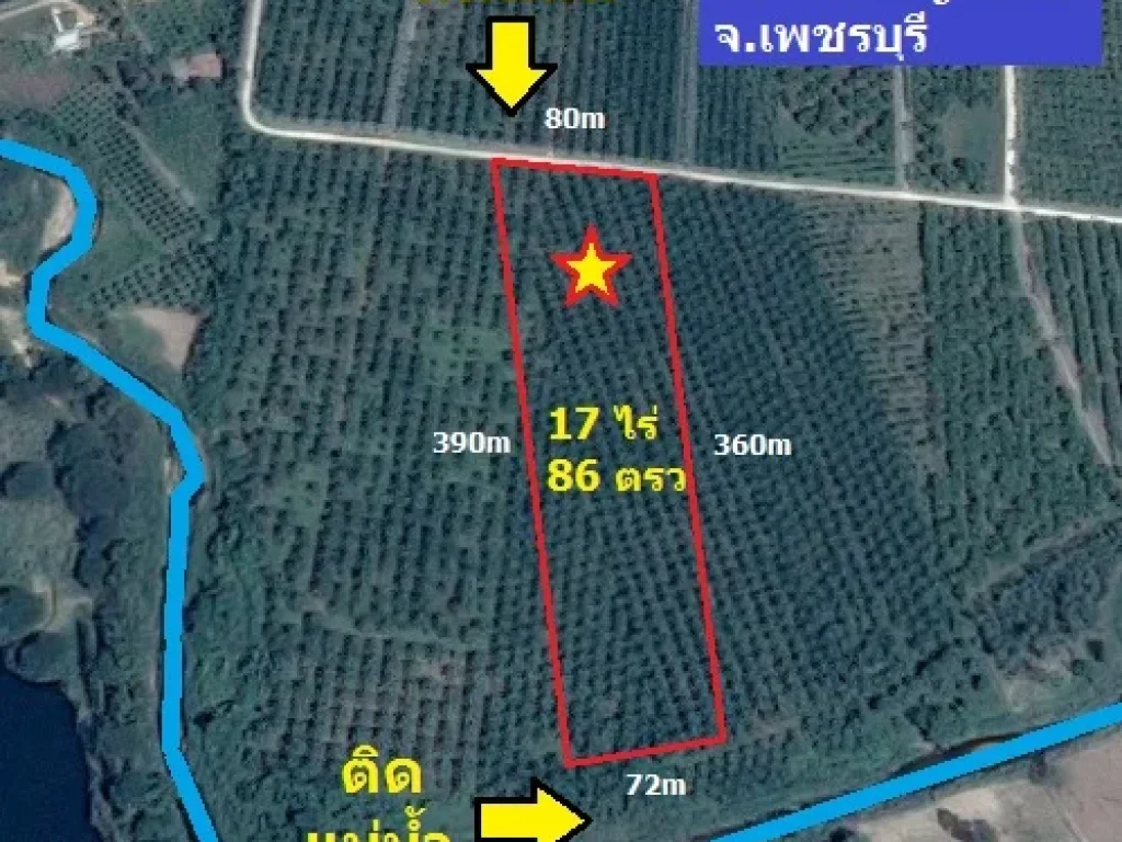 ขายที่ดิน 17 ไร่ หนองหญ้าปล้อง ติดแม่น้ำ ติดคอนกรีต