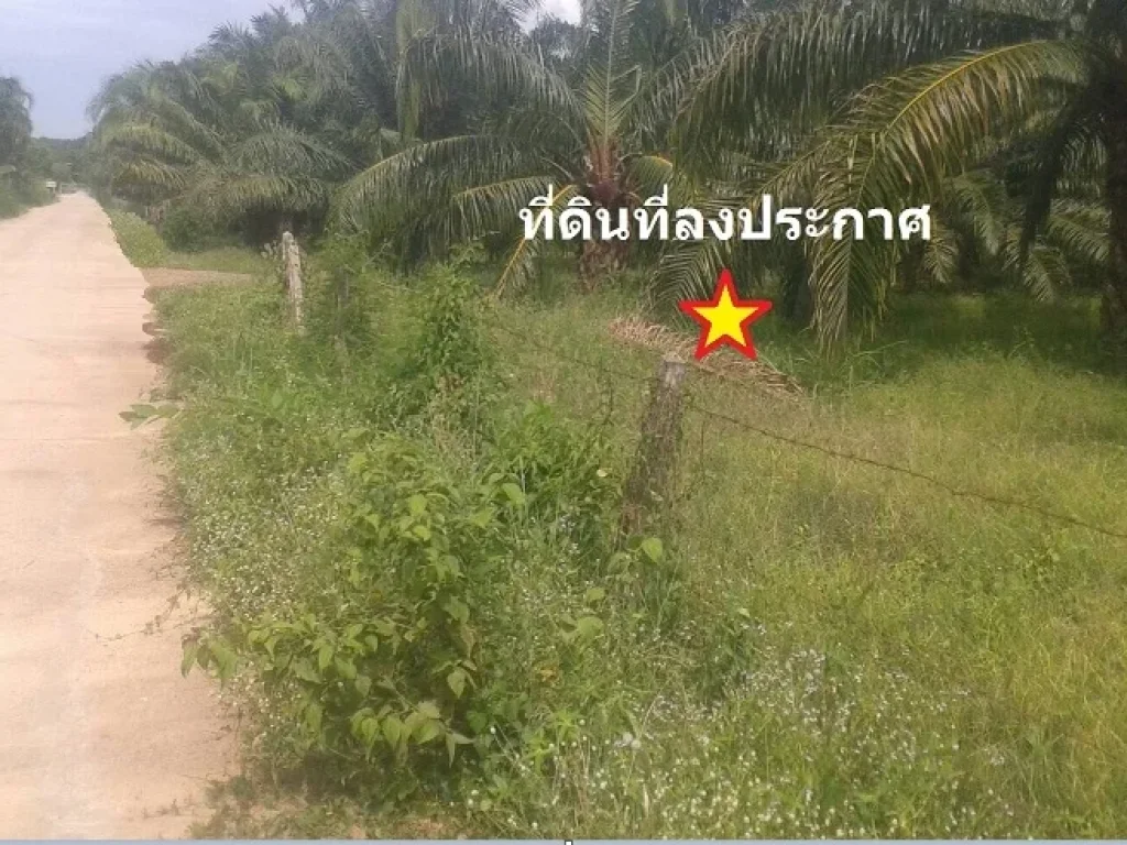 ขายที่ดิน 17 ไร่ หนองหญ้าปล้อง ติดแม่น้ำ ติดคอนกรีต