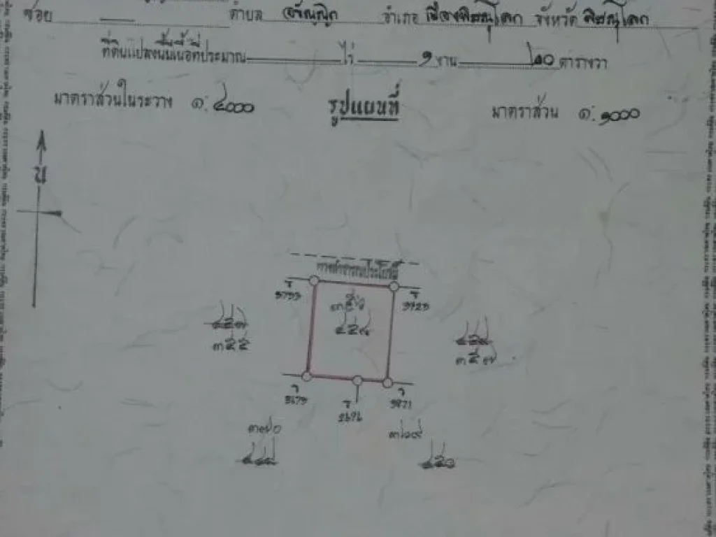 ขายที่ดินถมแล้วทำเลสวย เนื้อที่ 120 ตรว อเมือง จ พิษณุโลก