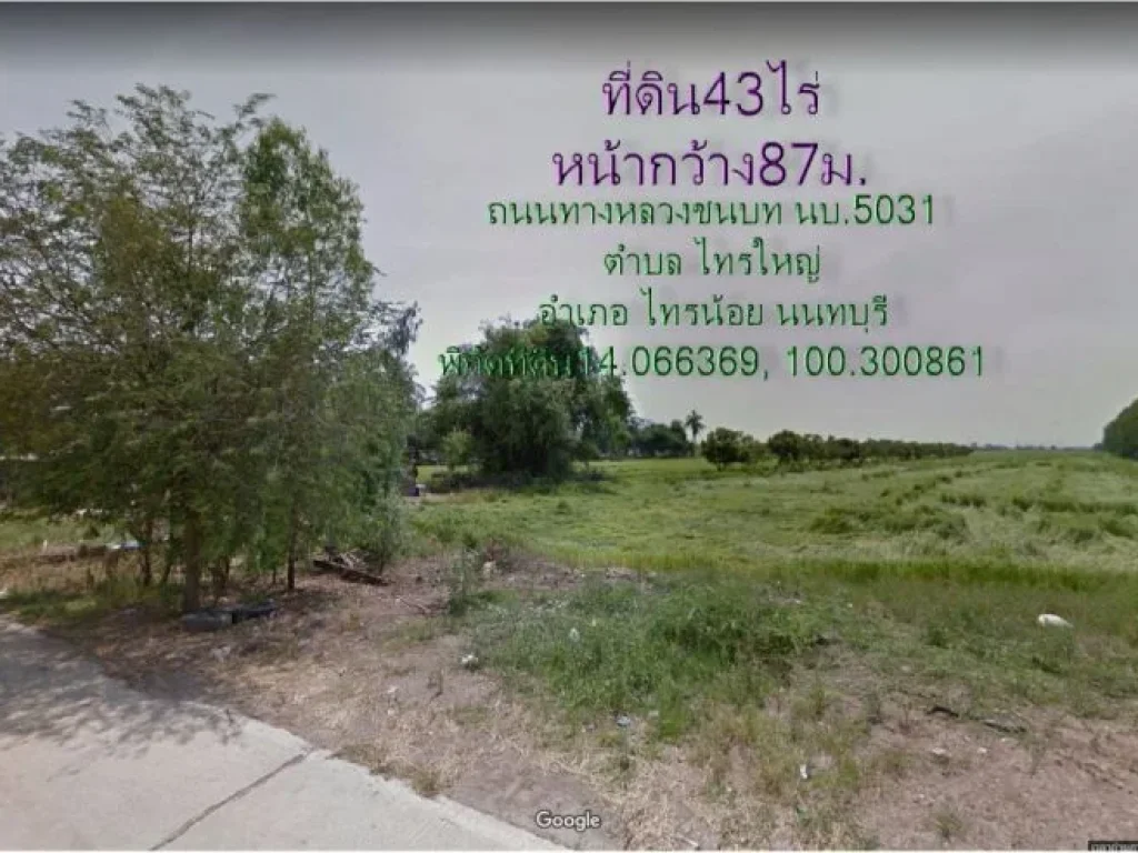 ที่ดิน43ไร่หหน้ากว้าง87มติดถนนทางหลวงชนบท นบ5031พื้นที่สีม่วง ตไทรใหญ่ อไทรน้อย จนนทบุรี