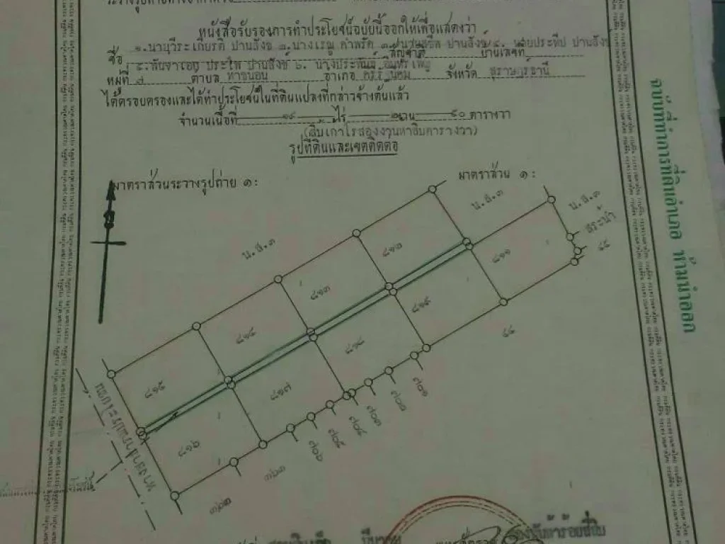 ขายที่ดิน 1 แปลง เนื้อที่ 2 ไร่ 40 ตรว อปากพนัง จนครศรีธรรมราช