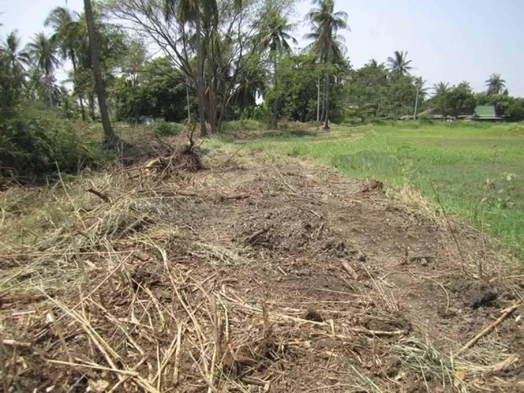 ขายที่ดิน 12 ไร่ บ้านแหลม ติดถนน ใกล้ชุมชน