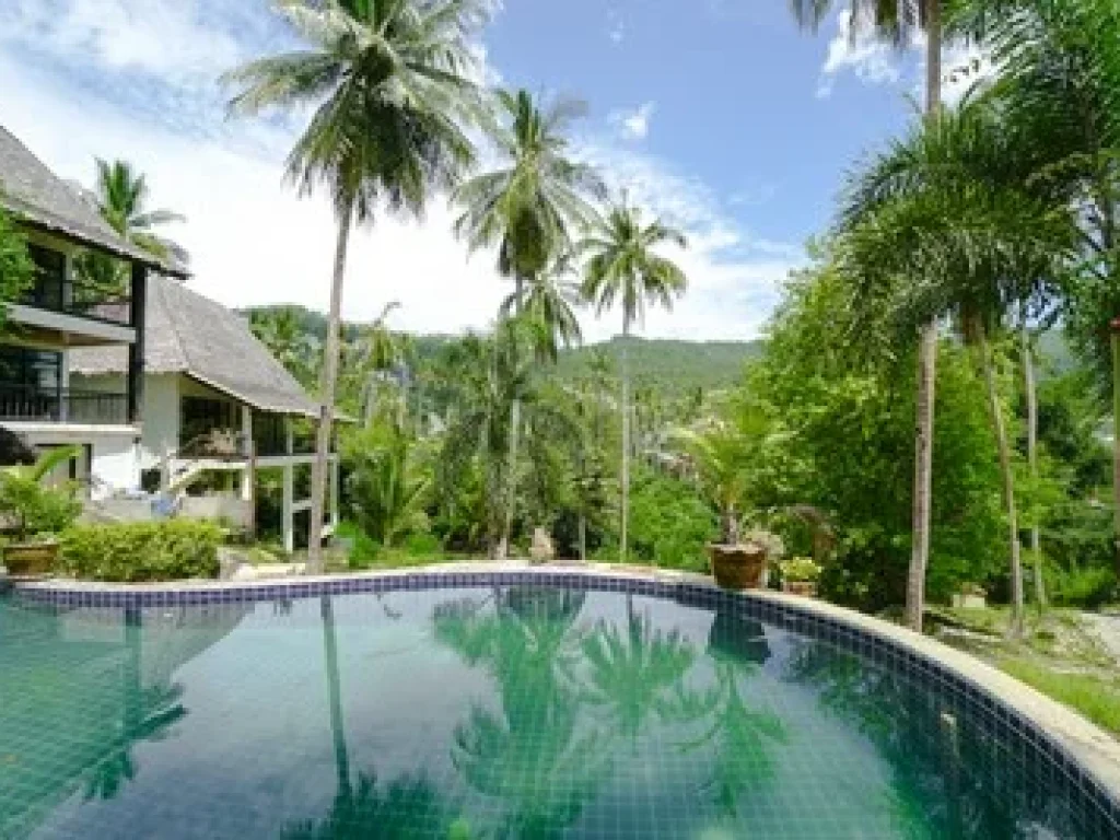 Villa For Sale Chaweng Noi Koh Samui 2 Rai near Panyadee The British School in Samui