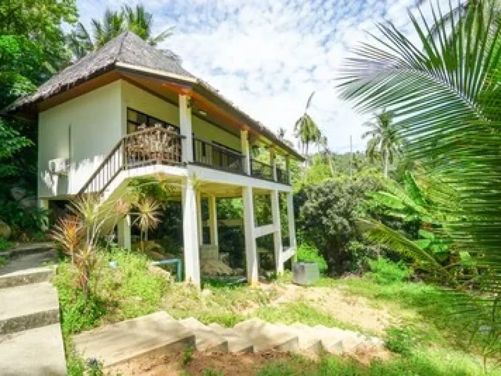 Villa For Sale Chaweng Noi Koh Samui 2 Rai near Panyadee The British School in Samui