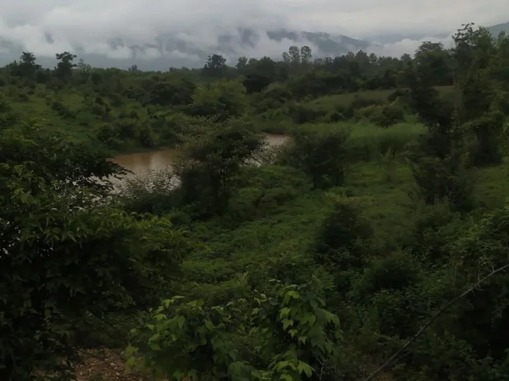 ขายที่ดิน 345 ไร่เศษ ติดทางหลวง 2275 อำเภอหล่มสัก เพชรบูรณ์