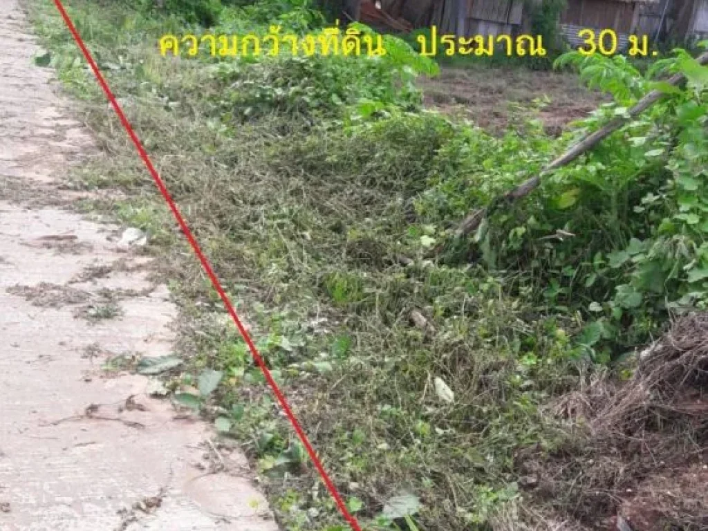 ขายที่ดินติดแม่น้ำโขง ติดจุดผ่อนปรน ไทย-ลาว ตบ้านหม้อ อศรีเชียงใหม่ จหนองคาย