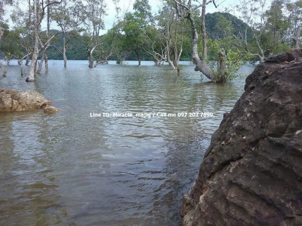 ต้องการที่ดินติดชายหาดสวยพร้อมบ่้านพักตากอากาศต้องแปลงนี้