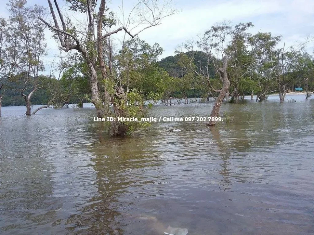 ขายถูกมากๆที่ดินติดชายหาด