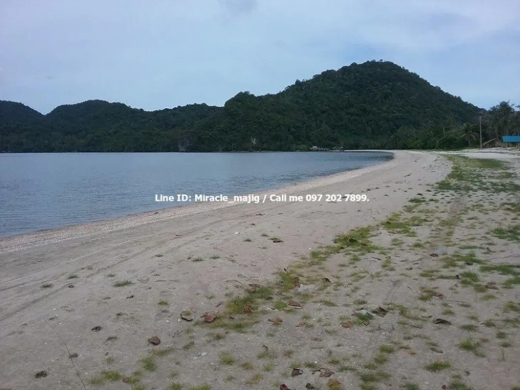 ขายถูกมากๆที่ดินติดชายหาด