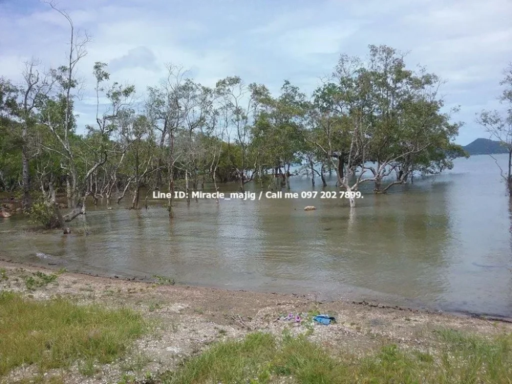 ขายถูกมากๆที่ดินติดชายหาด