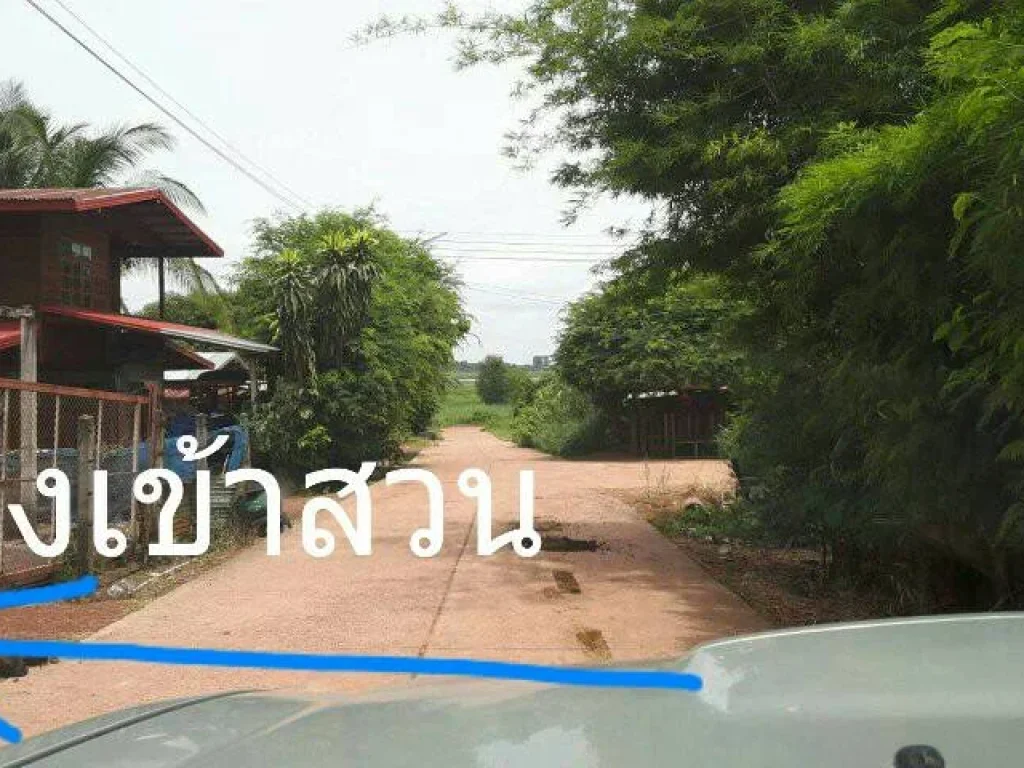 ขายที่ดินติดอ่างเก็บน้ำพังพวน