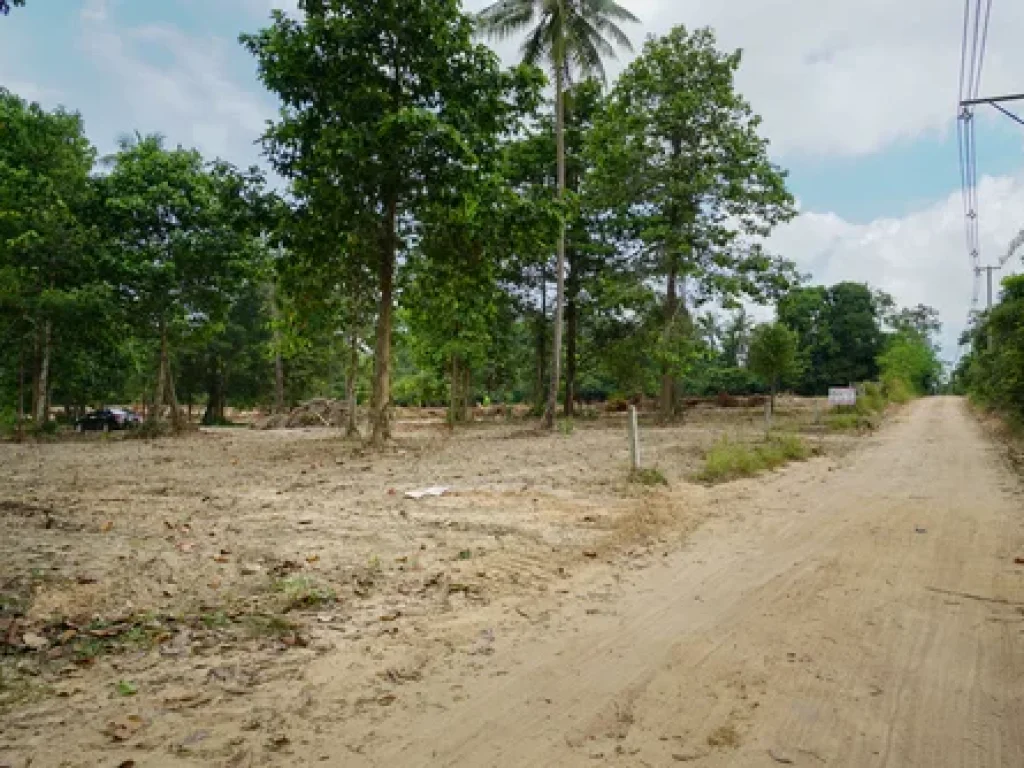 Land for Sale in Koh Samui 4 rai near Taling Ngam Beach south of koh samui Good plot for luxury villa