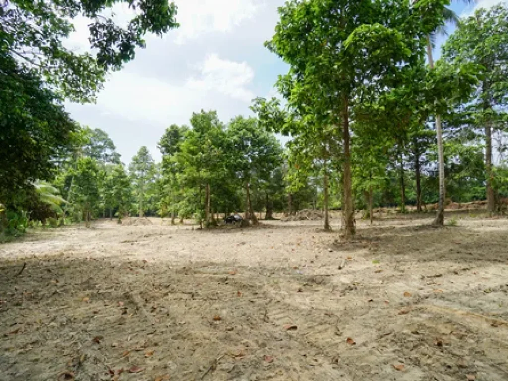 Land for Sale in Koh Samui 4 rai near Taling Ngam Beach south of koh samui Good plot for luxury villa