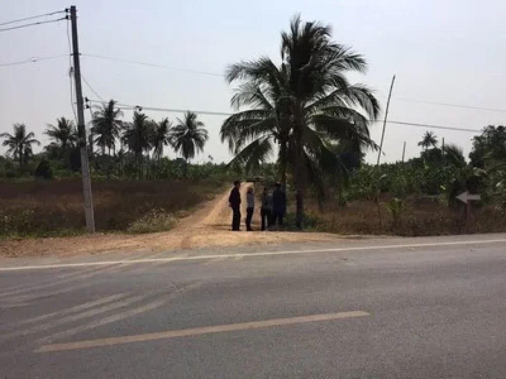 ขายที่ดิน ทำเลทอง ปทุมธานี ถนนสายบ้านปทุมธานี เจ้าของขายเอง