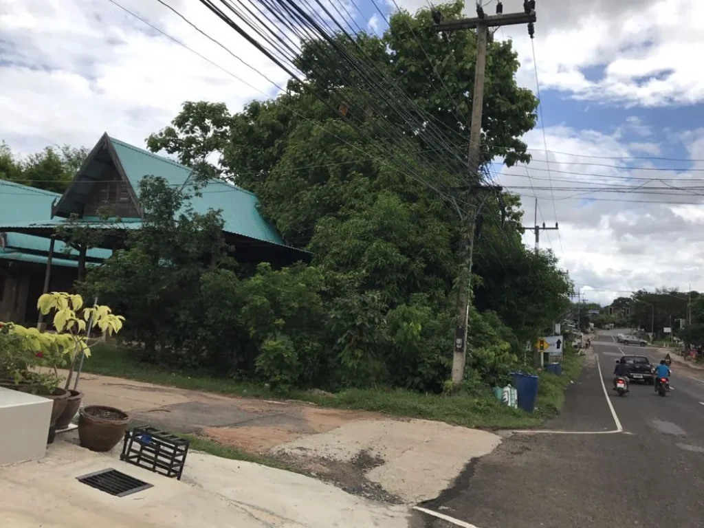 ขายที่ดิน พร้อมบ้านติดถนน 294ตรว มีโฉนด