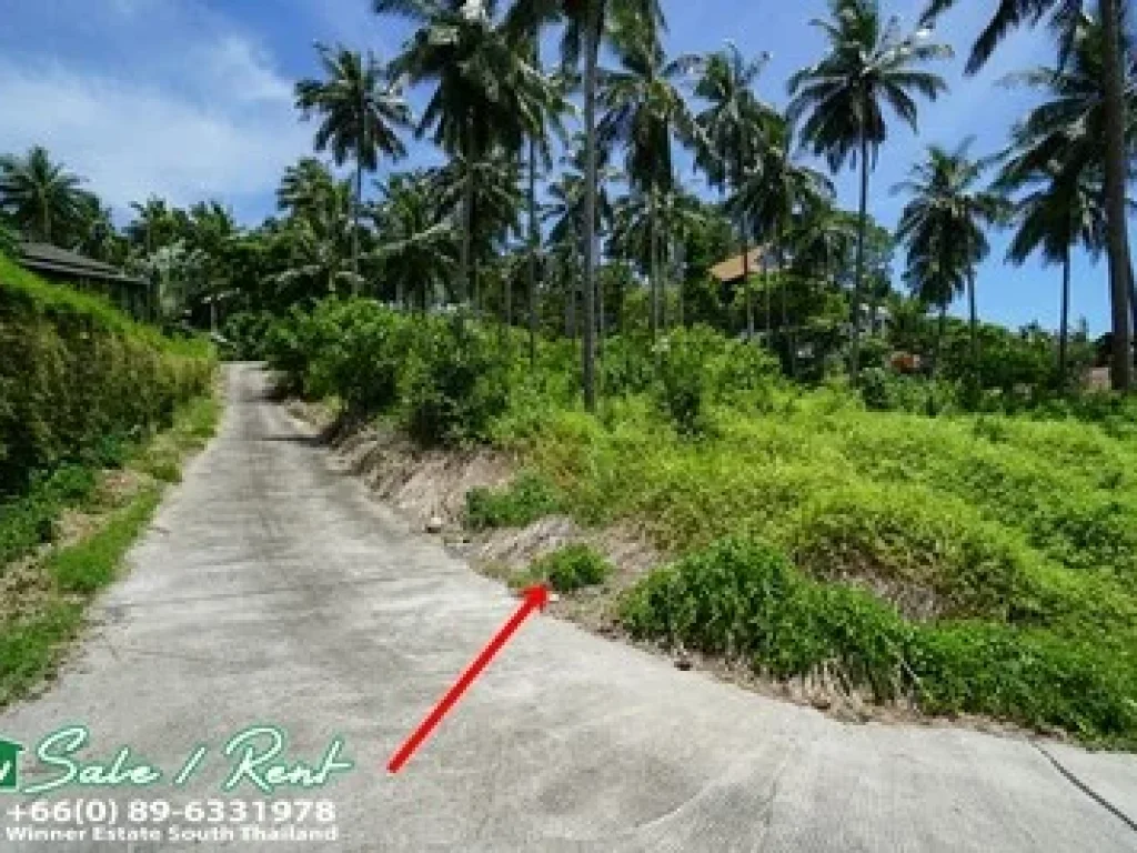 Land Sea View for Rent Koh Samui located south west of the island 2 rai in Taling Ngam Koh Samui