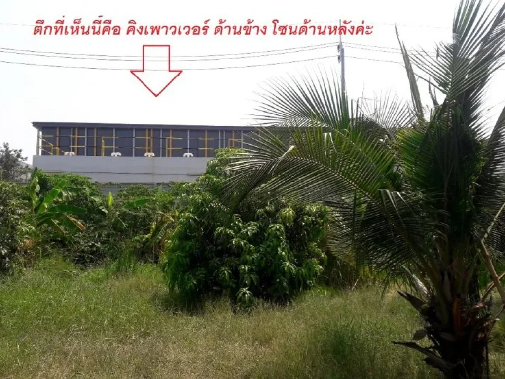 ที่ดิน ติดคิงเพาเวอร์ศรีวารีน้อย กม6 จำนวน 1ไร่ 72วา