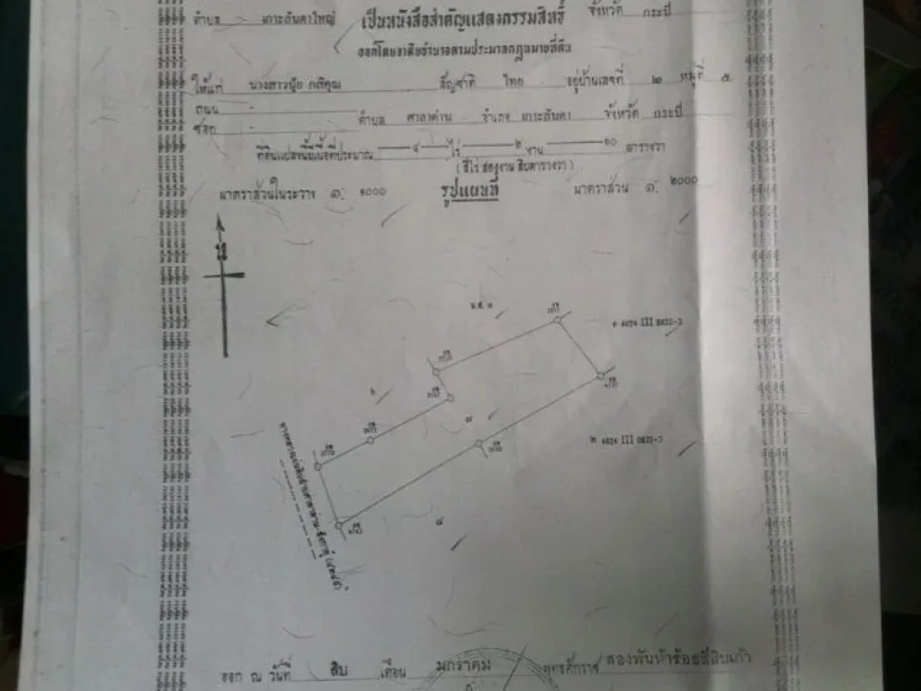 ที่ดิน 4 ไร่ 210 ตรวบนเกาะลันตา ทำเลดี พร้อมลงทุน