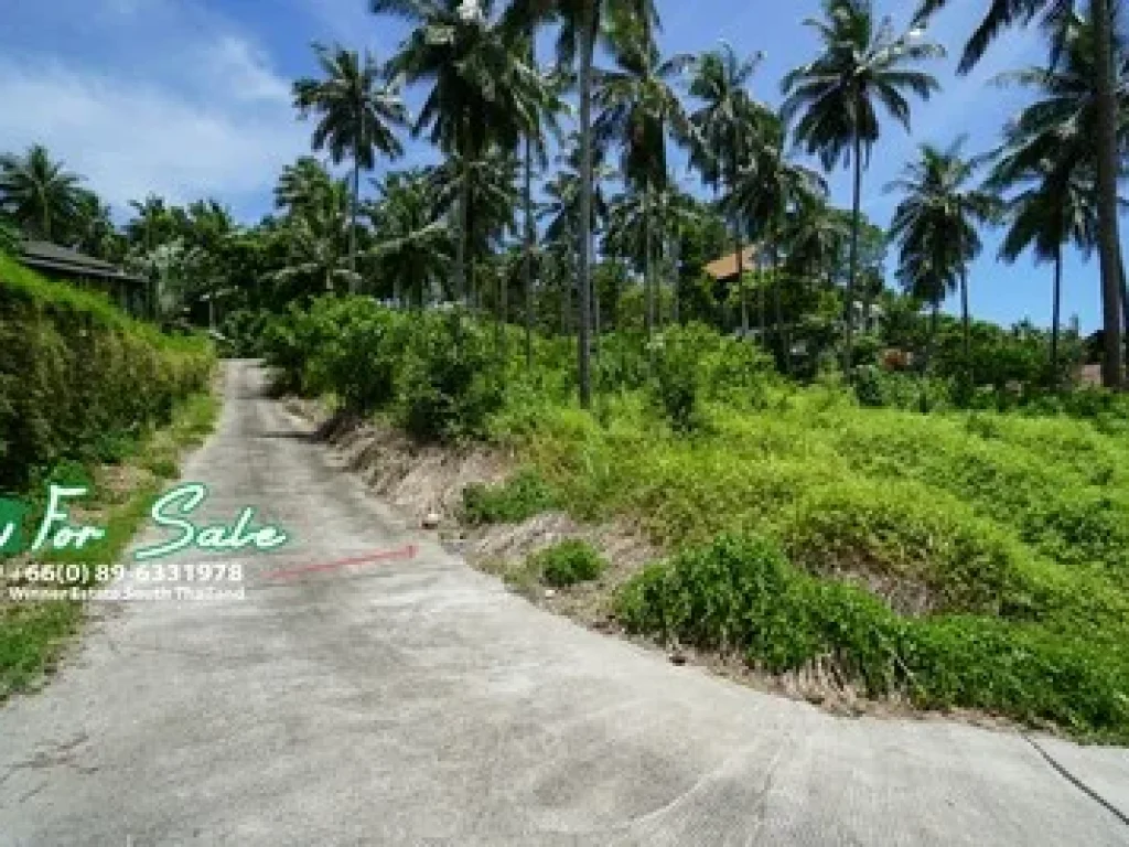 SEA VIEW Koh Samui Land for Sale 2 RAI in TALING NGAM KOH SAMUI SEA VIEW SALE