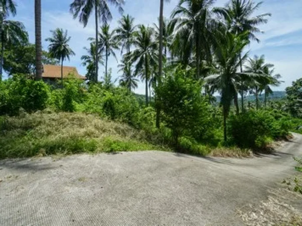 SEA VIEW Koh Samui Land for Sale 2 RAI in TALING NGAM KOH SAMUI SEA VIEW SALE