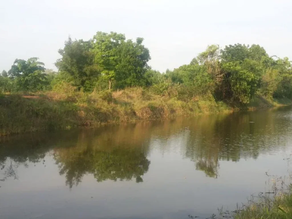 ขายที่ดิน ตบ้านเม็ง หนองเรือ ขอนแก่น